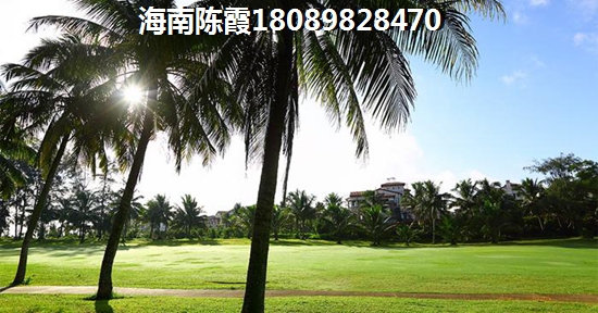 定安定安还可以买吗？
